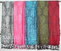 Pashmina Shawls