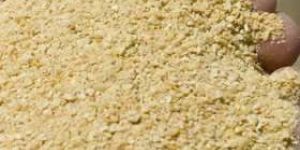 Soybean Meal