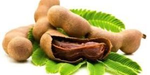 Tamarind Pods