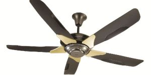 Ceiling Fan