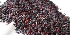 Black Rice