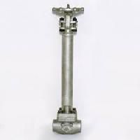 Cryogenic Globe Valve