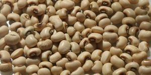 Gunwanti Black Eyed Bean