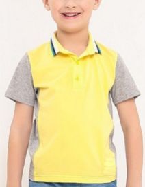 Boys Designer Half Sleeve Polo T-Shirts