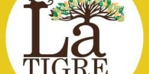 Hotel Accommodation Services