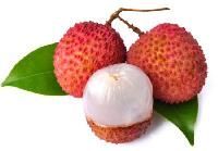 Lychee