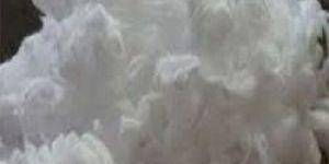 FDA Bleached Cotton