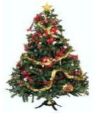 Xmas Tree