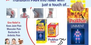 PRAKHAR Liniment Pain Relief Oil