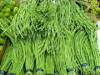 Long Bean