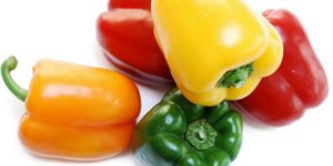 Fresh Capsicum