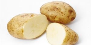 Fresh Potato