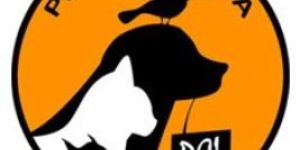 Dog Clothes & Apparel