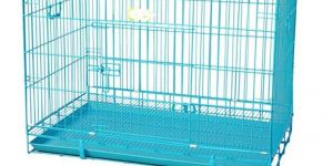 Steel Cage