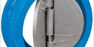 Dual Plate Check Valve