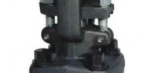 Forged Globe Valve