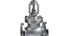 Globe Valve