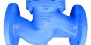 Lift up Type Check Valve
