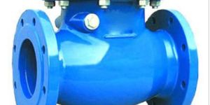 Swing Check Valve