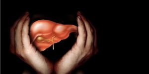 Ayurveda Herbal Medicine for Diseases of Stomach