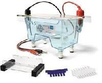 Electrophoresis Apparatus