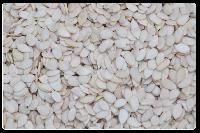 Yellow Mustard Seeds and Water Melon Kernel Seeds