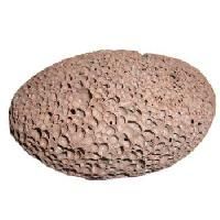 Pumice Stones