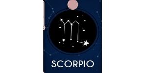 Mobile Phone Back Cover