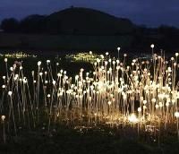 Decorative Solar Lights