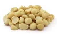 Macadamia Nuts