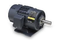 Variable Speed Motors