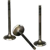Exhaust Valves