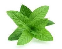 Mint Leaf