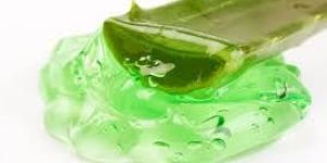 Aloe Vera Jel