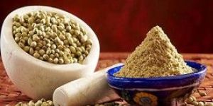 Coriander Powder