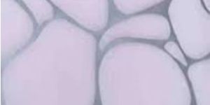 Acrylic Laminates