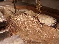 Router for Wooden Cutting