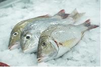 Chilled Fish