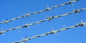 Barbed Wire