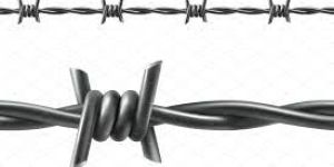 Barbed Wires