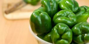 Green Capsicum