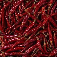 Indian Red Chilli