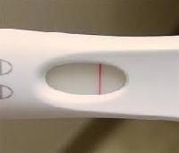 Pregnancy Test Strip
