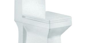 Floor Mounted Toilets