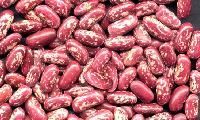 Red Speckled Kidney Beans