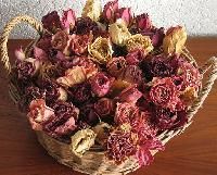Dries Roses