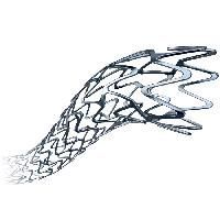 Coronary Stent
