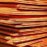 Checkered Plywood