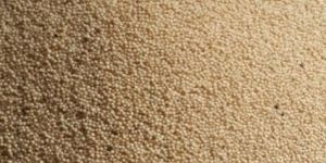 Amaranth Grain