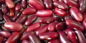 Red Kidney Beans